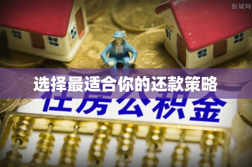 涿鹿选择最适合你的还款策略